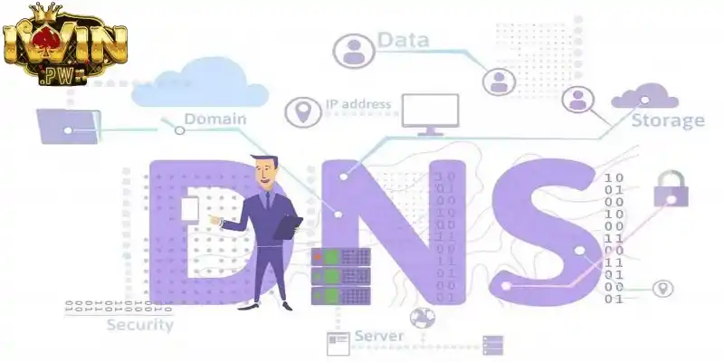 DNS chưa cập nhật ở link